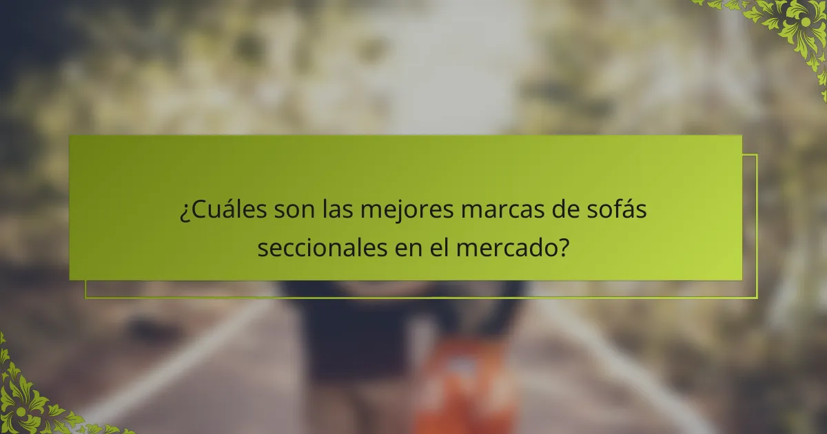 ¿Cuáles son las mejores marcas de sofás seccionales en el mercado?