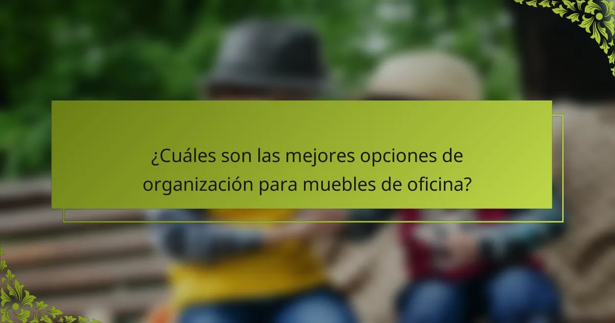 ¿Cuáles son las mejores opciones de organización para muebles de oficina?